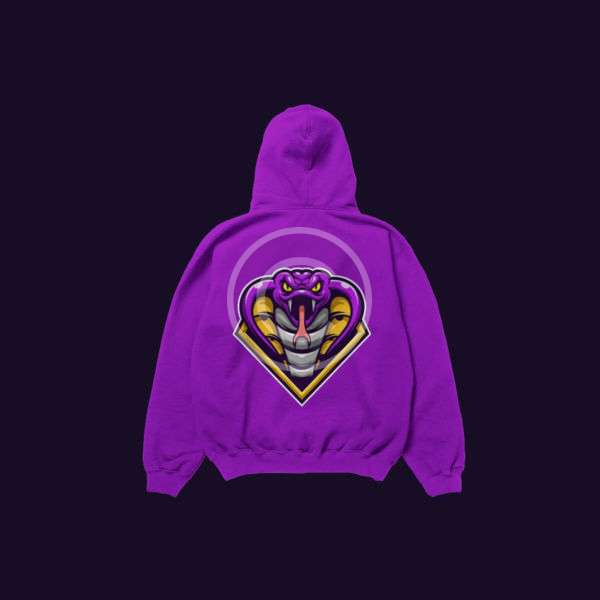 Team logo hoodie